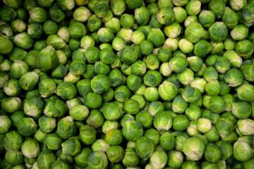 How Do You Cook Brussel Sprouts