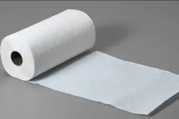 Paper Towel