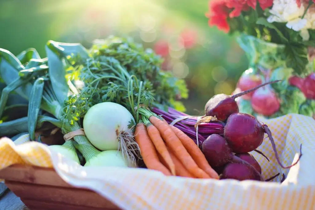 How long Do You Cook Vegetables in an Air Fryer