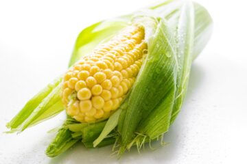 cook corn