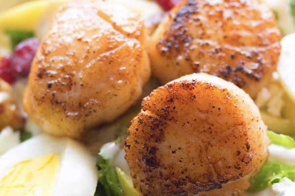 How to Cook Scallops in Air Fryer